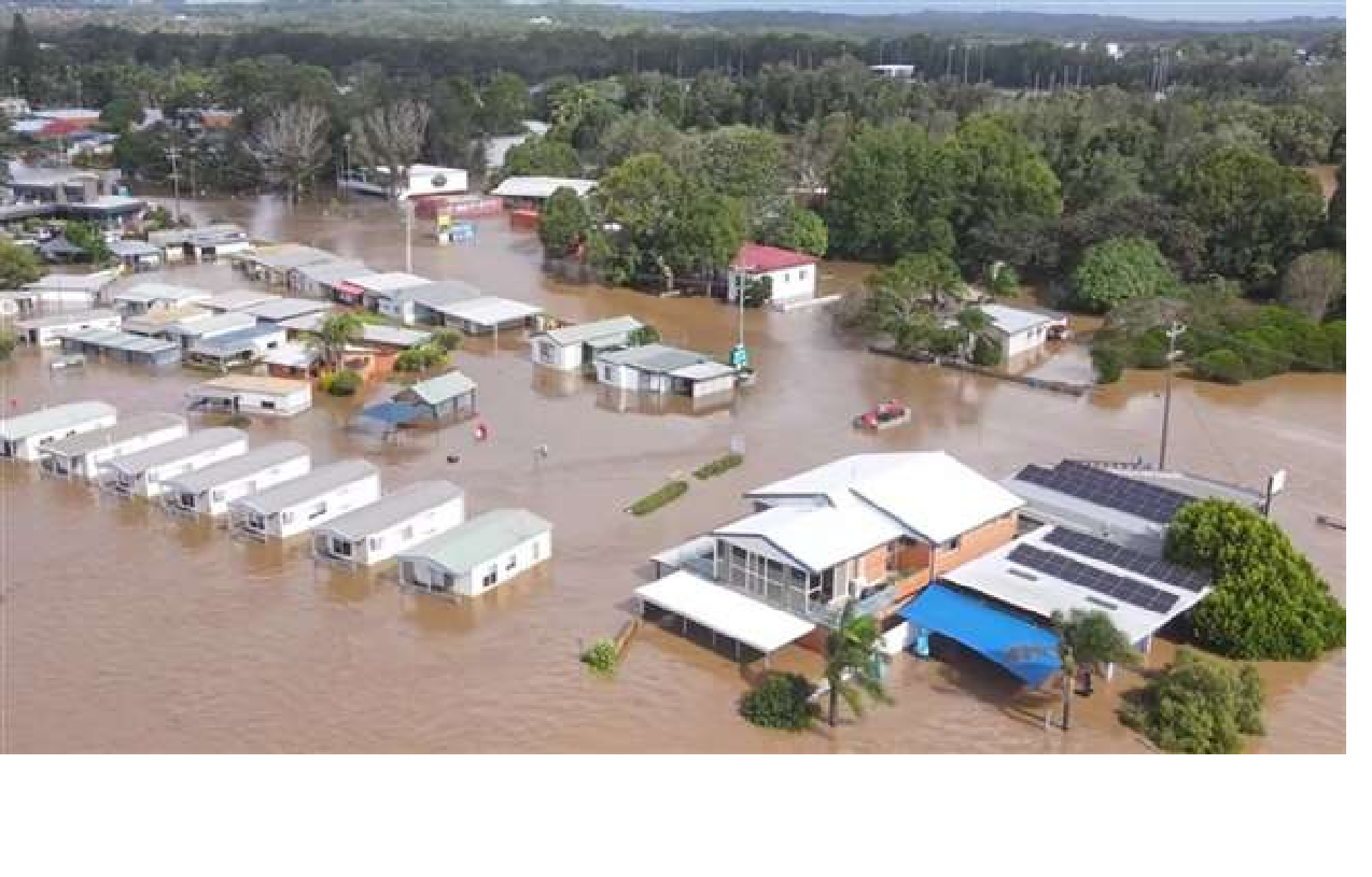 ऑस्ट्रेलिया में बाढ़: बाढ़ से बचने के लिए सांपों और मकड़‍ियों ने घरों पर डेरा जमाया, जहरीले सांपों से संकट में जीवन