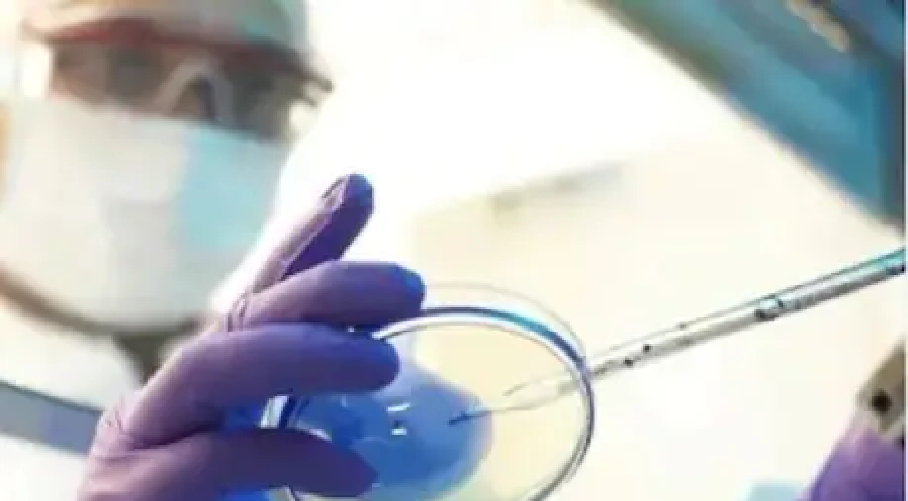 ब्लैक फंगस के इलाज में कैसे कारगर एम्फोटेरिसिन-B इंजेक्शन, कितनी हो रही सप्लाई?