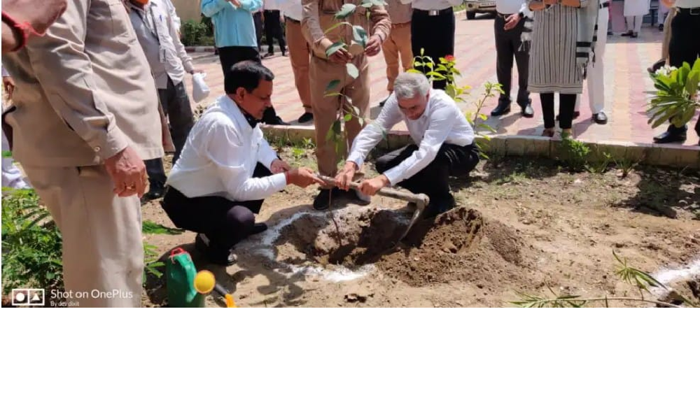 विश्व पर्यावरण दिवस पर जिला जज ने किया वृक्षारोपण दिया जनसंदेश