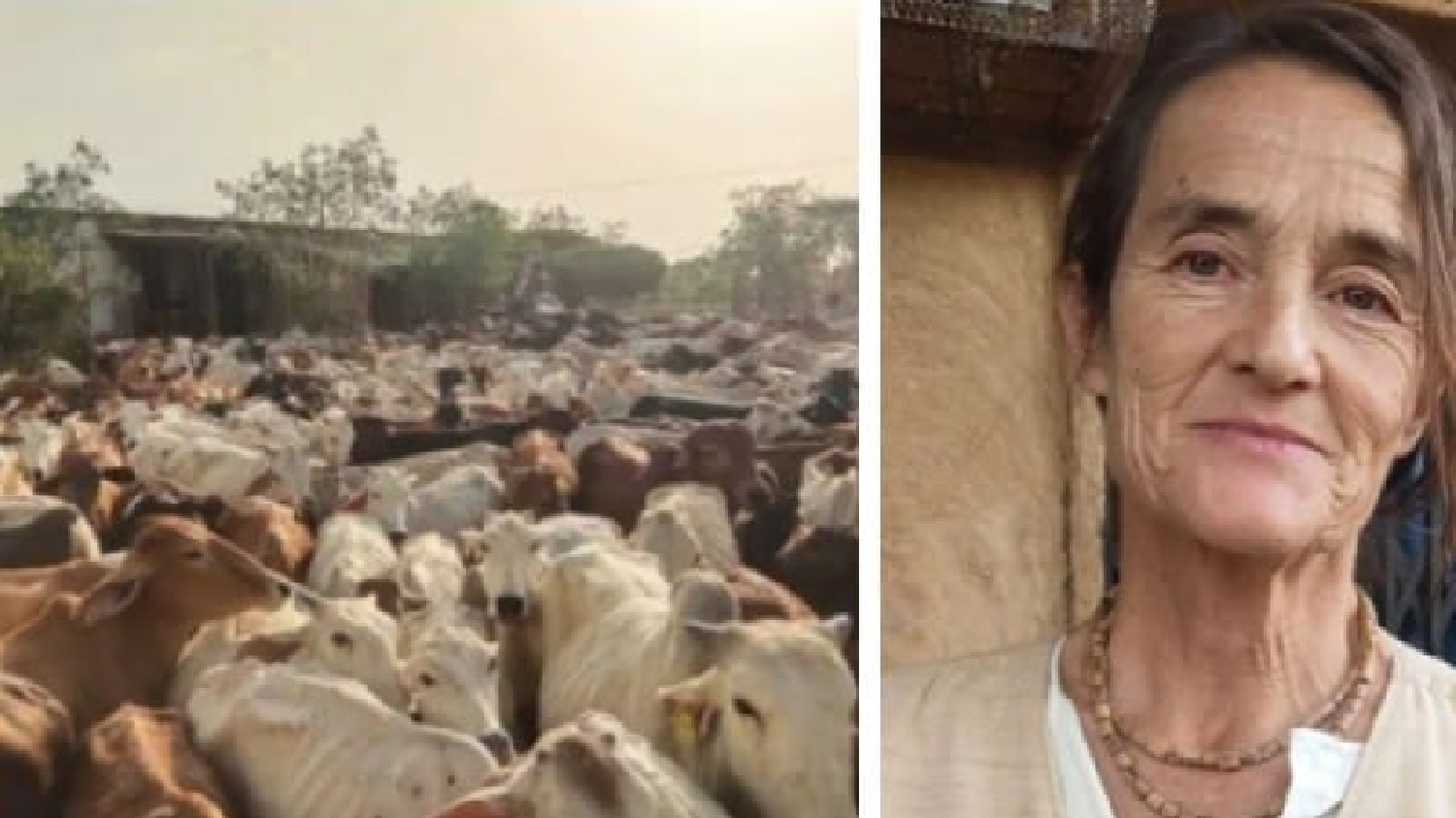 पद्मश्री विदेशी महिला सुदेवी दासी ने लगाई योगी आदित्यनाथ से गोचारण भूमि के लिए गोहार
