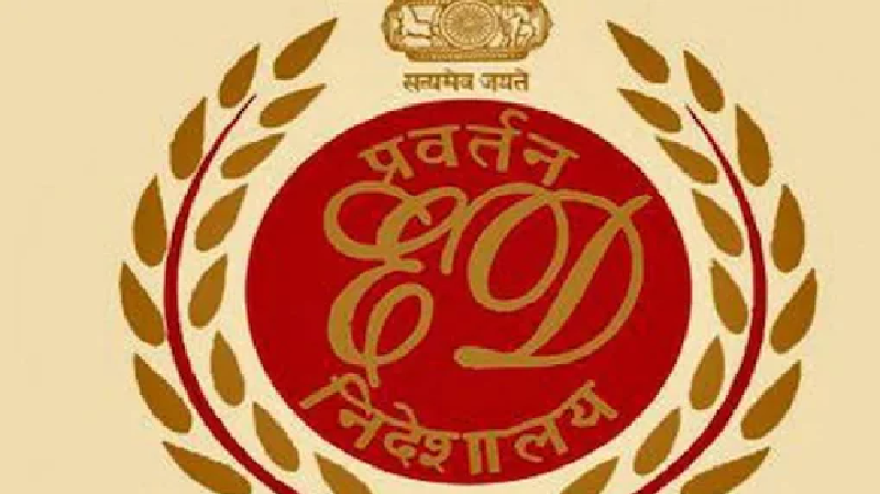 ED को वेबसाइट के खिलाफ मामले में गौतम नवलखा का बयान दर्ज करने की अनुमति